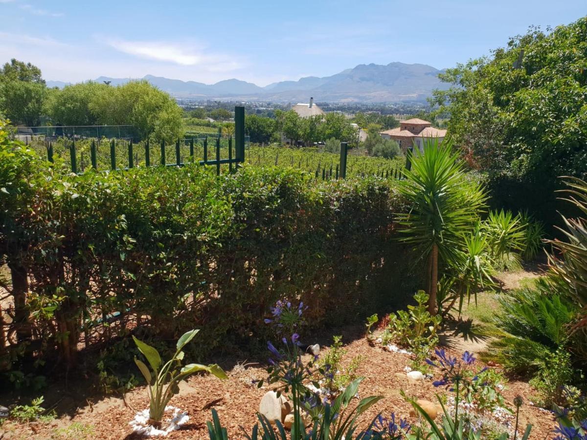 De Wingerd Wijnland Lodge Paarl Kültér fotó