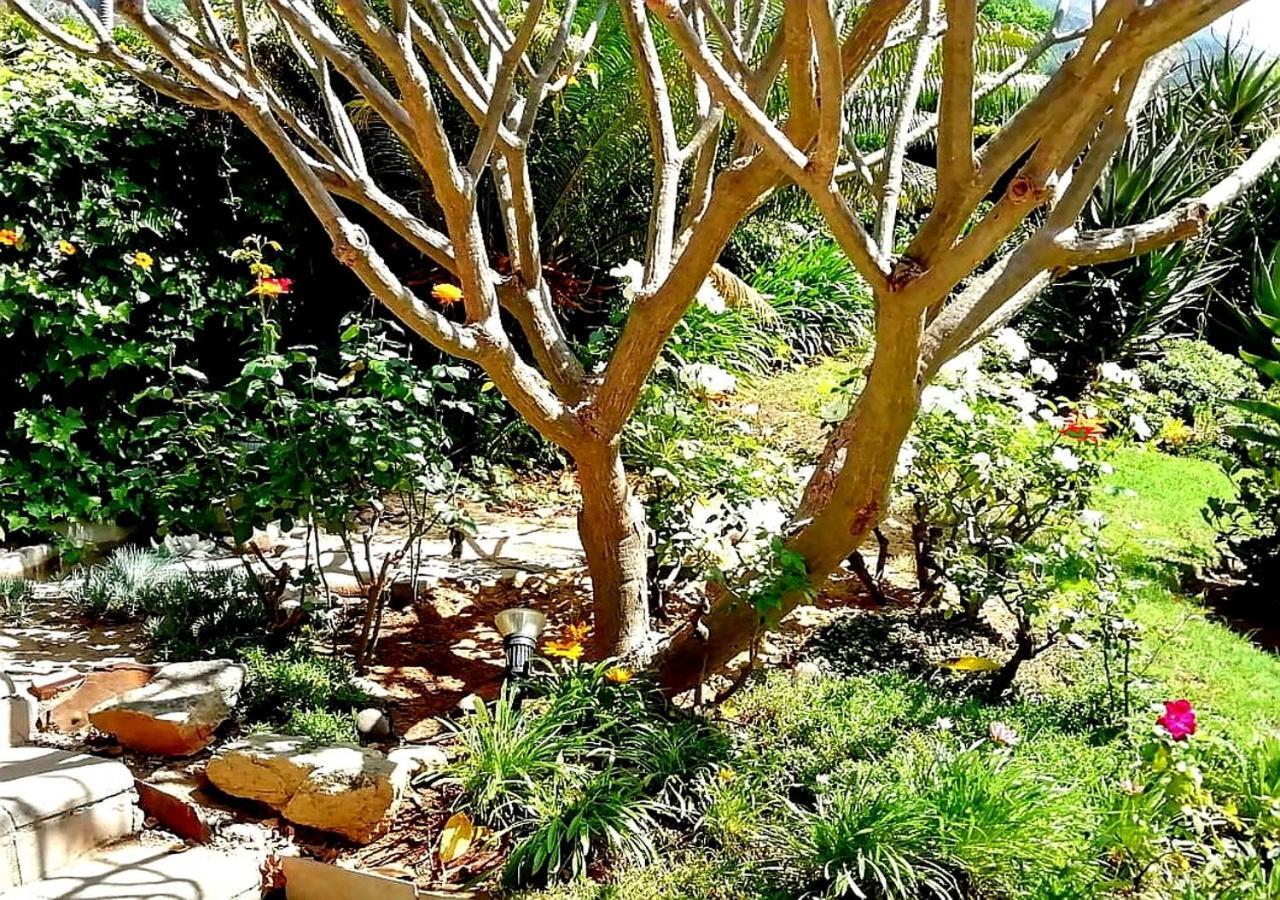 De Wingerd Wijnland Lodge Paarl Kültér fotó